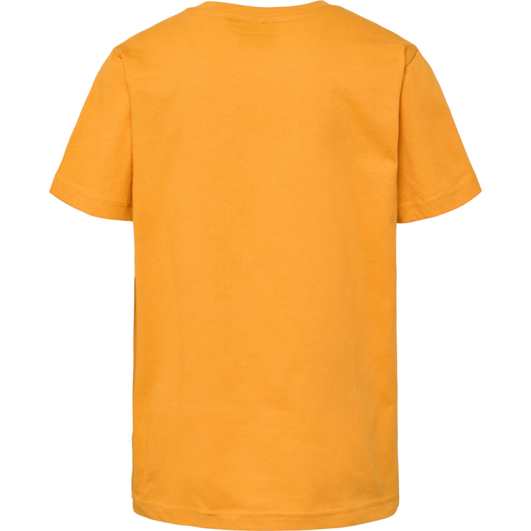 T-shirt de criança Hummel hmlTRES2-PACK