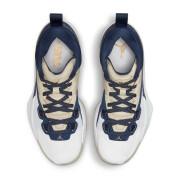 Sapatos Nike Jordan ZION 1